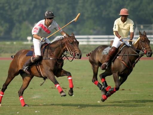 match_polo_cheval_deauville_equestre